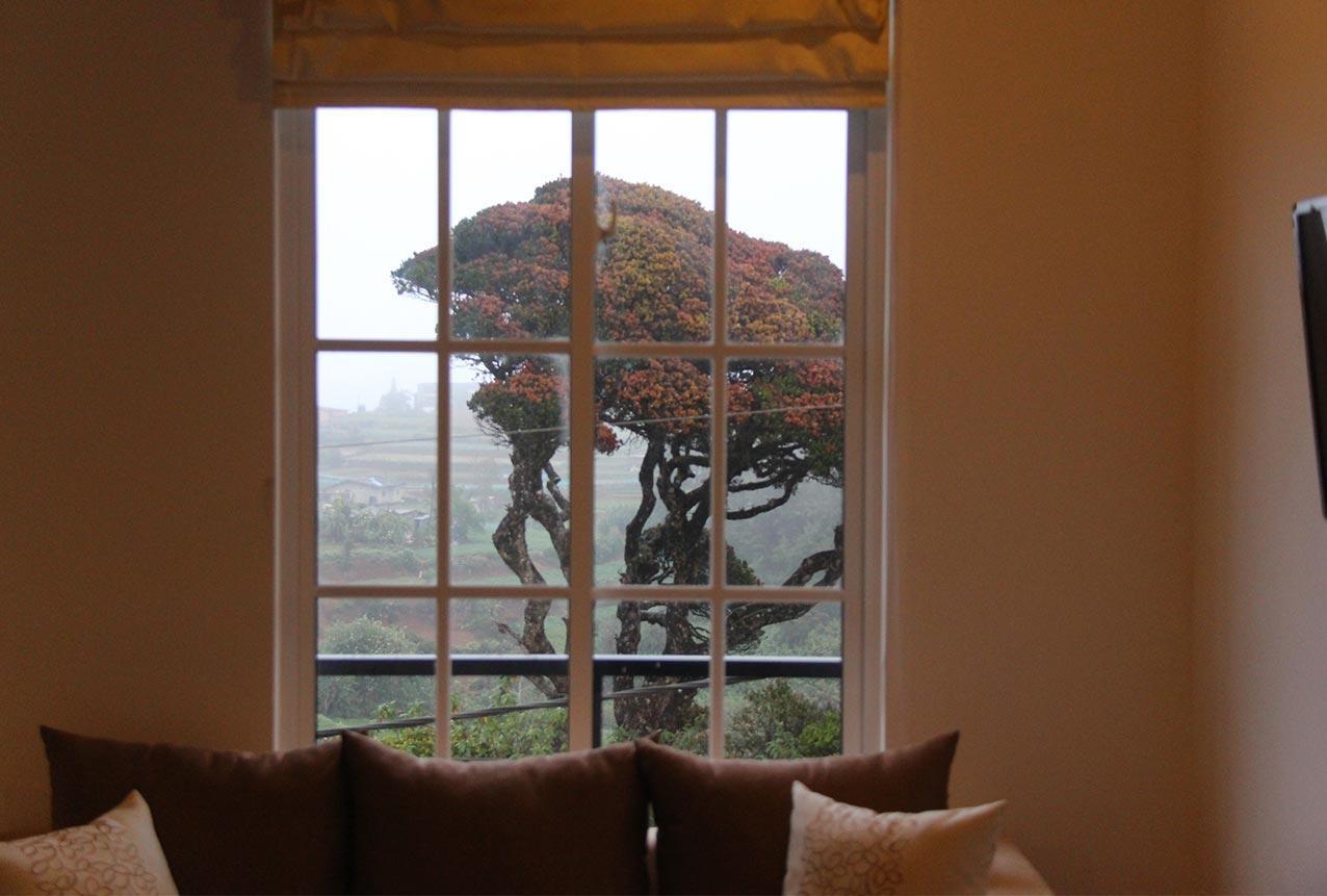 Tranquil Villa Nuwara Eliya Kültér fotó